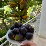 Casa de Férias Uzeiri's *