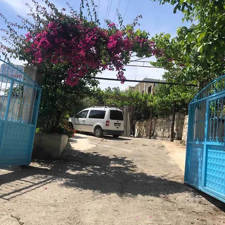 펜션 Uzeiri's 보르쉬