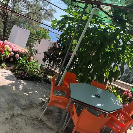 Tatil Evi Uzeiri's