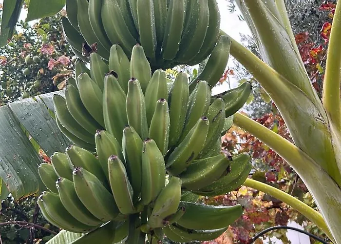 度假居 Uzeiri's *